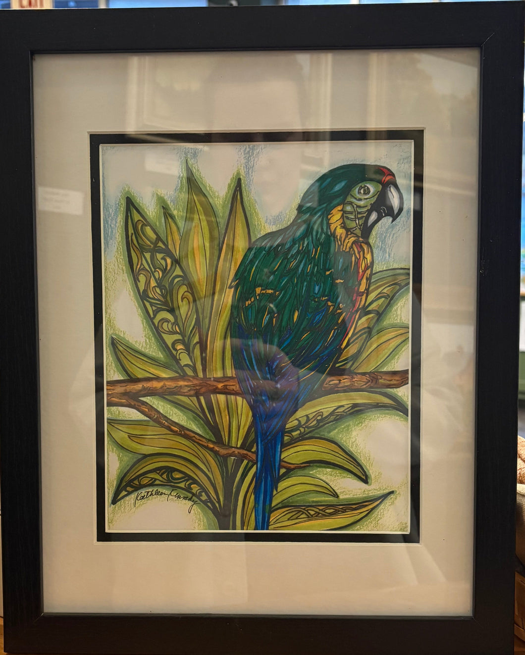 Framed Print- Macaw 11x14