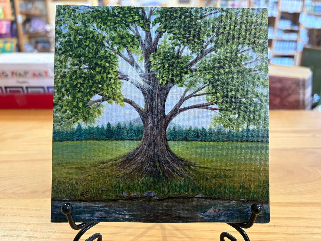 Panel- Illumination 5x5