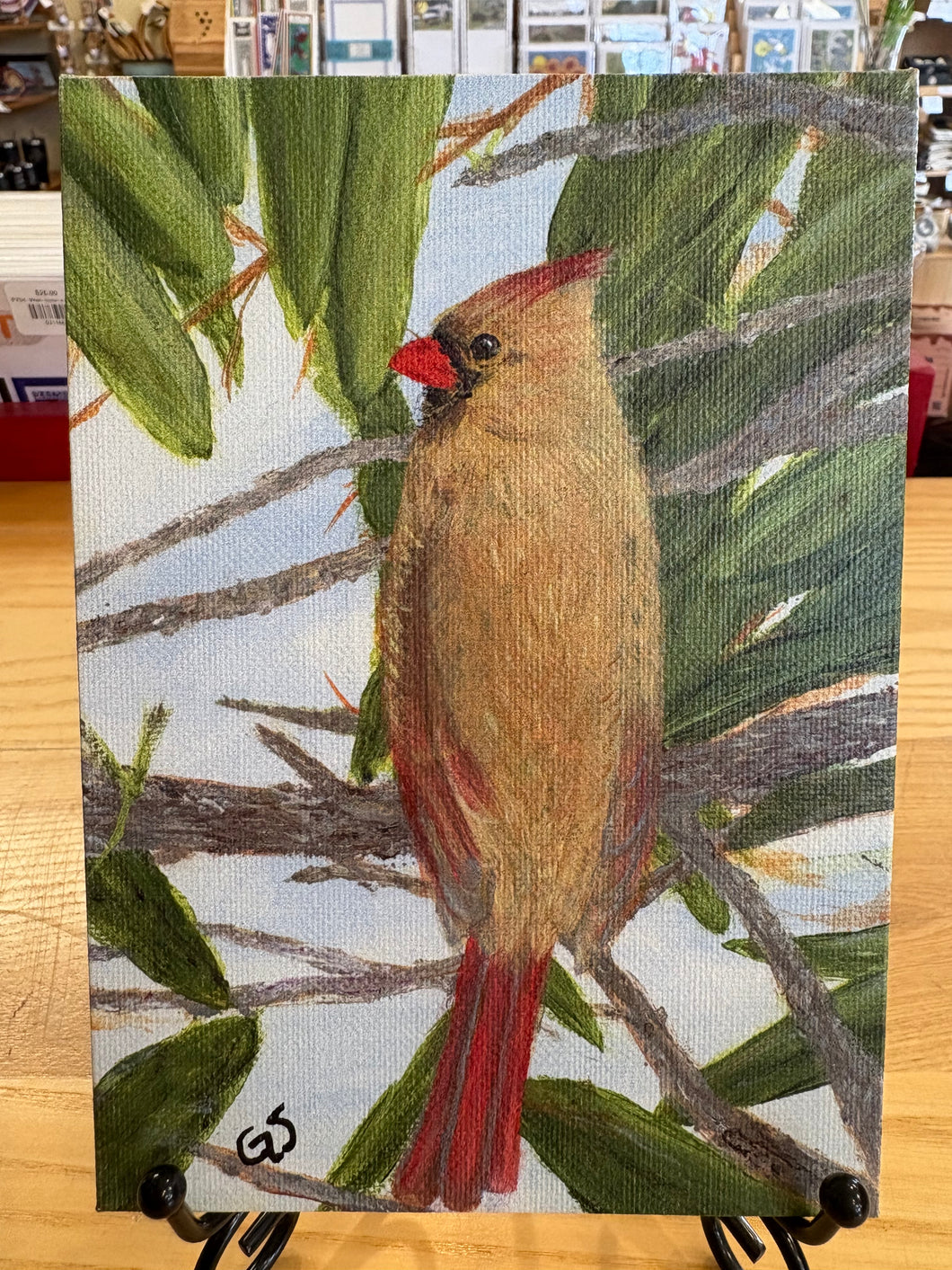 Panel- Lady Cardinal-5x7