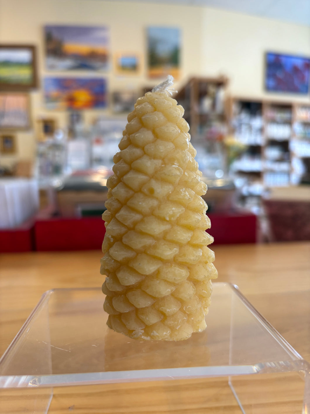 Candle- Pine Cone