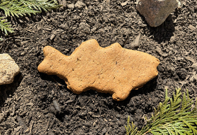 Dog Treat- Trail Mix Trout