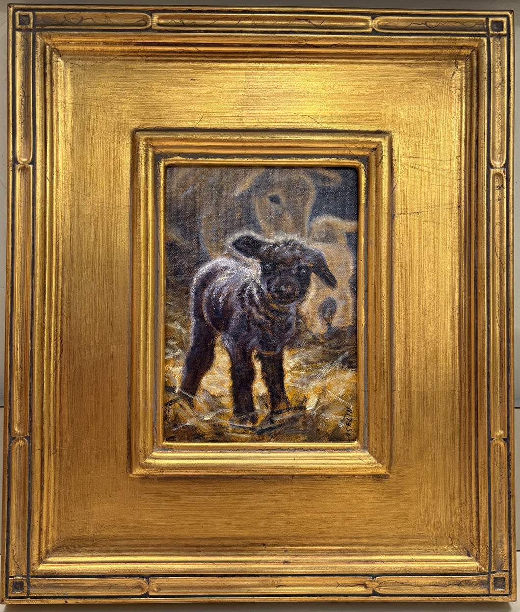 Original- Little Black Lamb