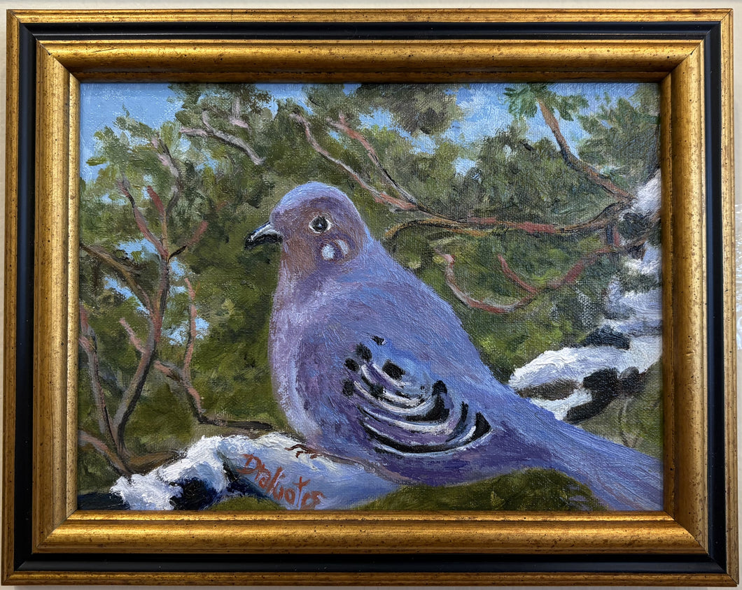 Painting- Mourning Dove