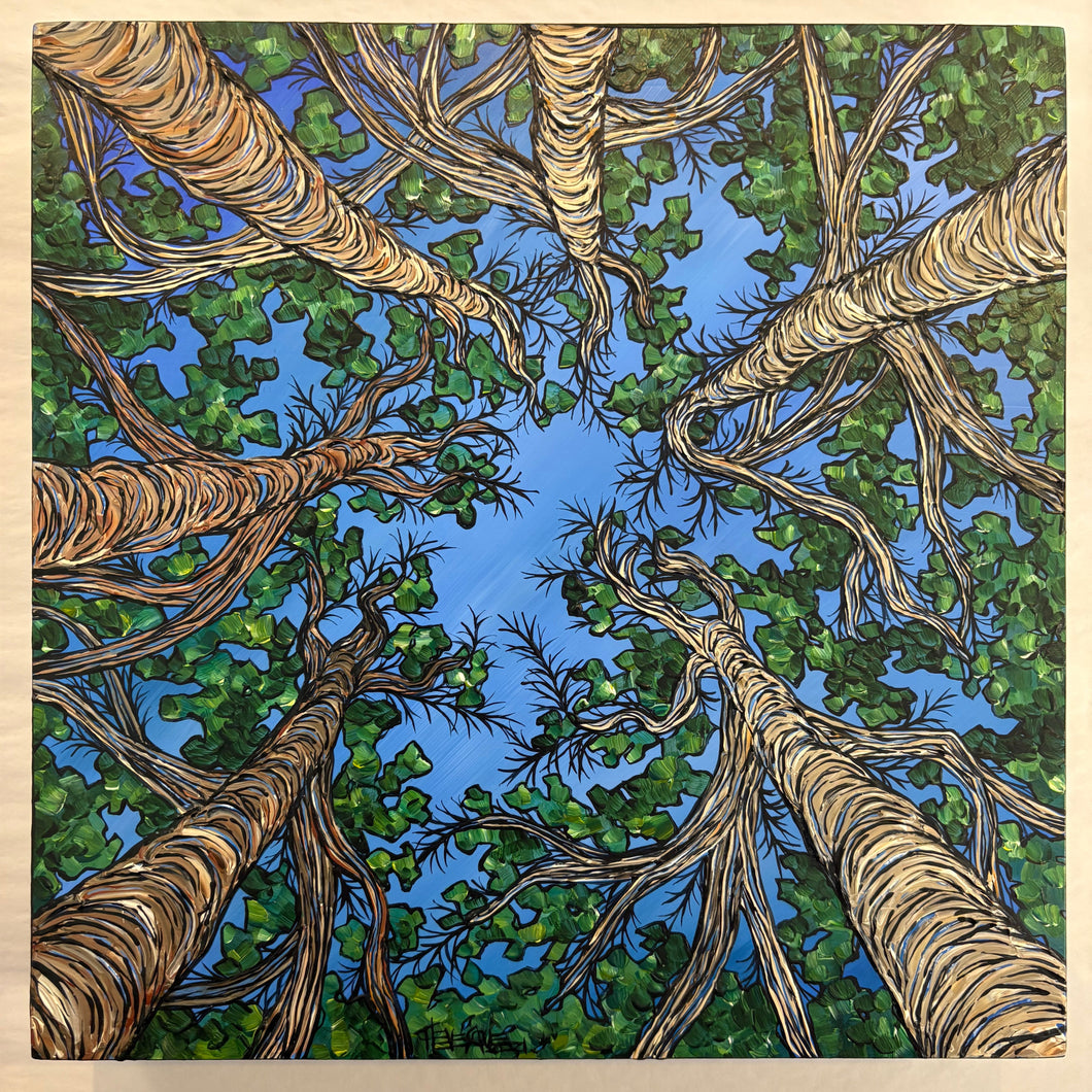 Painting- Beneath the Birch Canopy