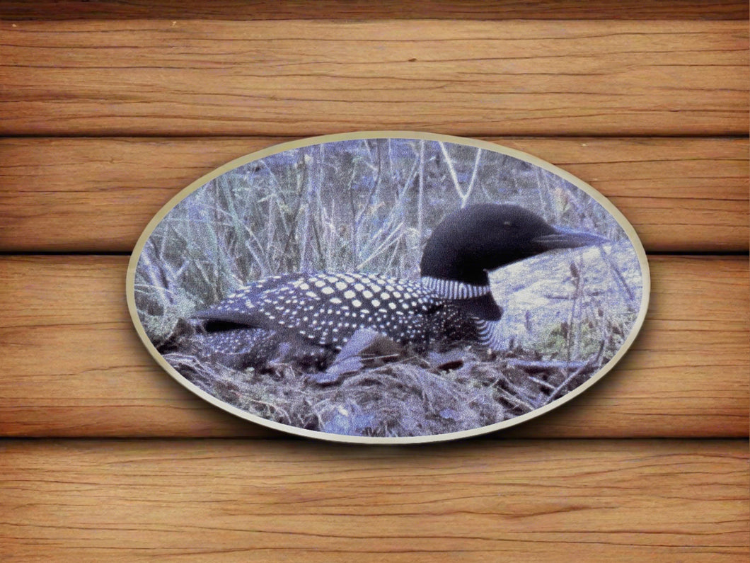 Decal- Loon Oval #18 MJLOOV1DE