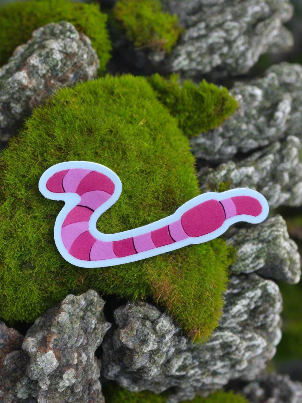 Sticker- Worm