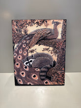Load image into Gallery viewer, Giclee Print- "Sleep" Raccoon &amp; Peacock
