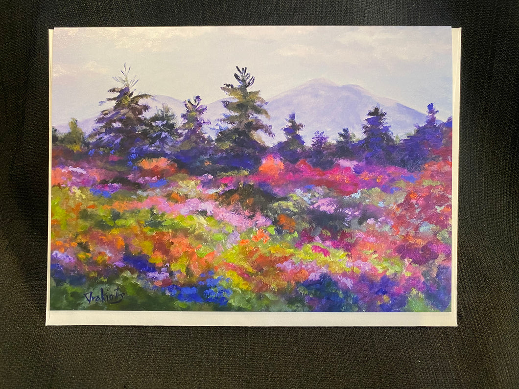 Card- Color on the Kancamagus