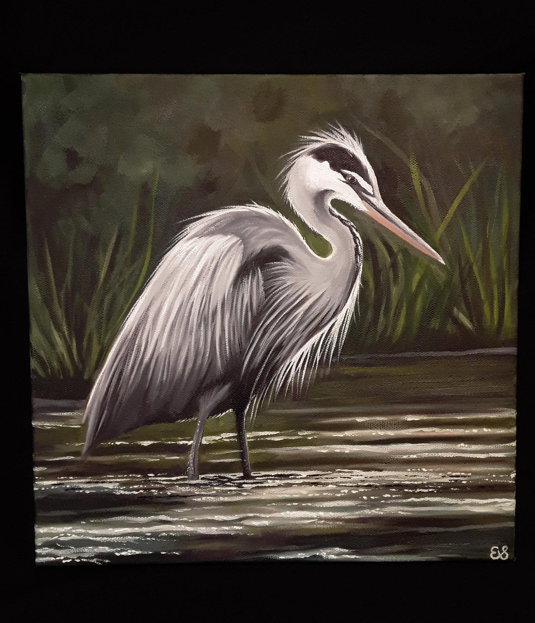 Original- Heron